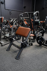VERVE Preacher Curl Scott Bench (Brown) - Makoto Series | MADE TO ORDER