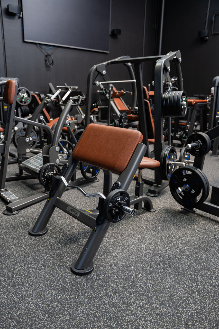 VERVE Preacher Curl Scott Bench (Brown) - Makoto Series | MADE TO ORDER