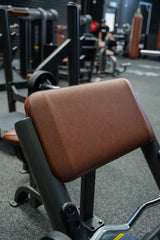 VERVE Preacher Curl Scott Bench (Brown) - Makoto Series | MADE TO ORDER