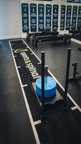 VERVE Panther Sled