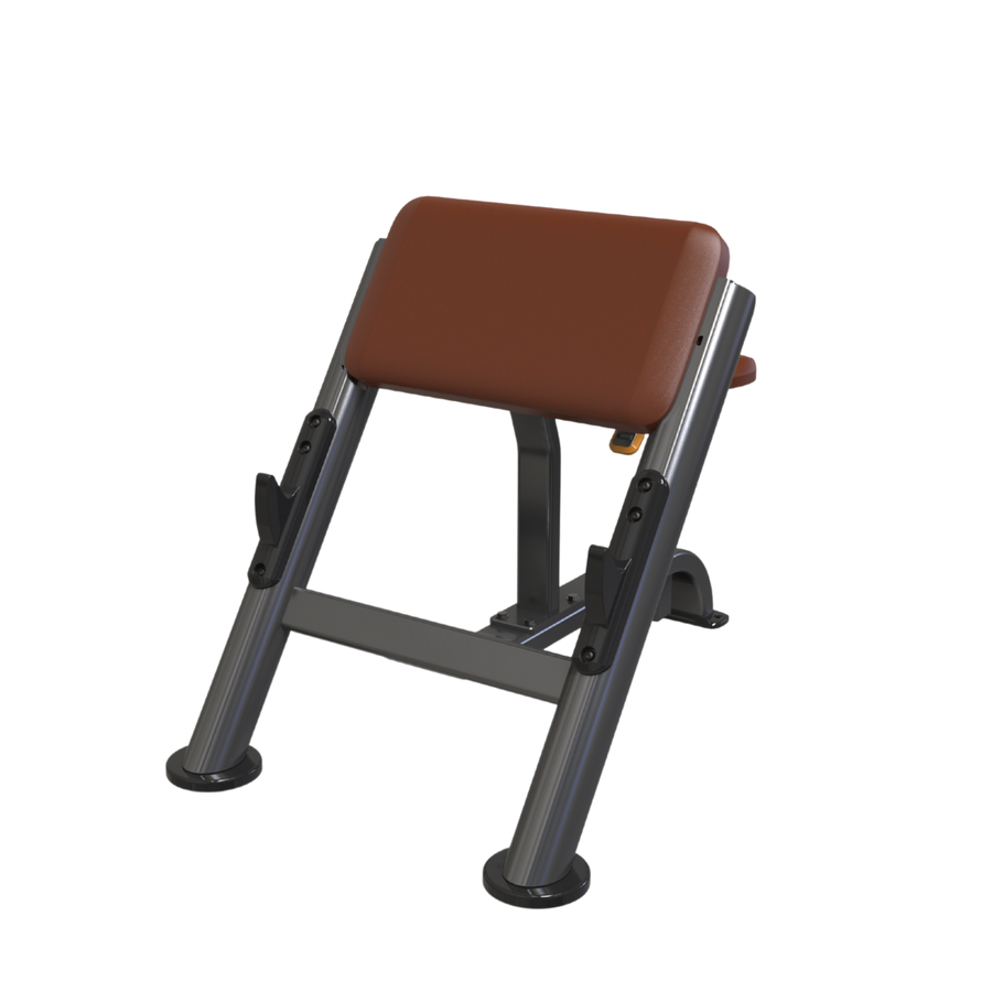 VERVE Preacher Curl Scott Bench (Brown) - Makoto Series | MADE TO ORDER