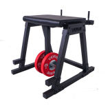 VERVE Reverse Hyperextension