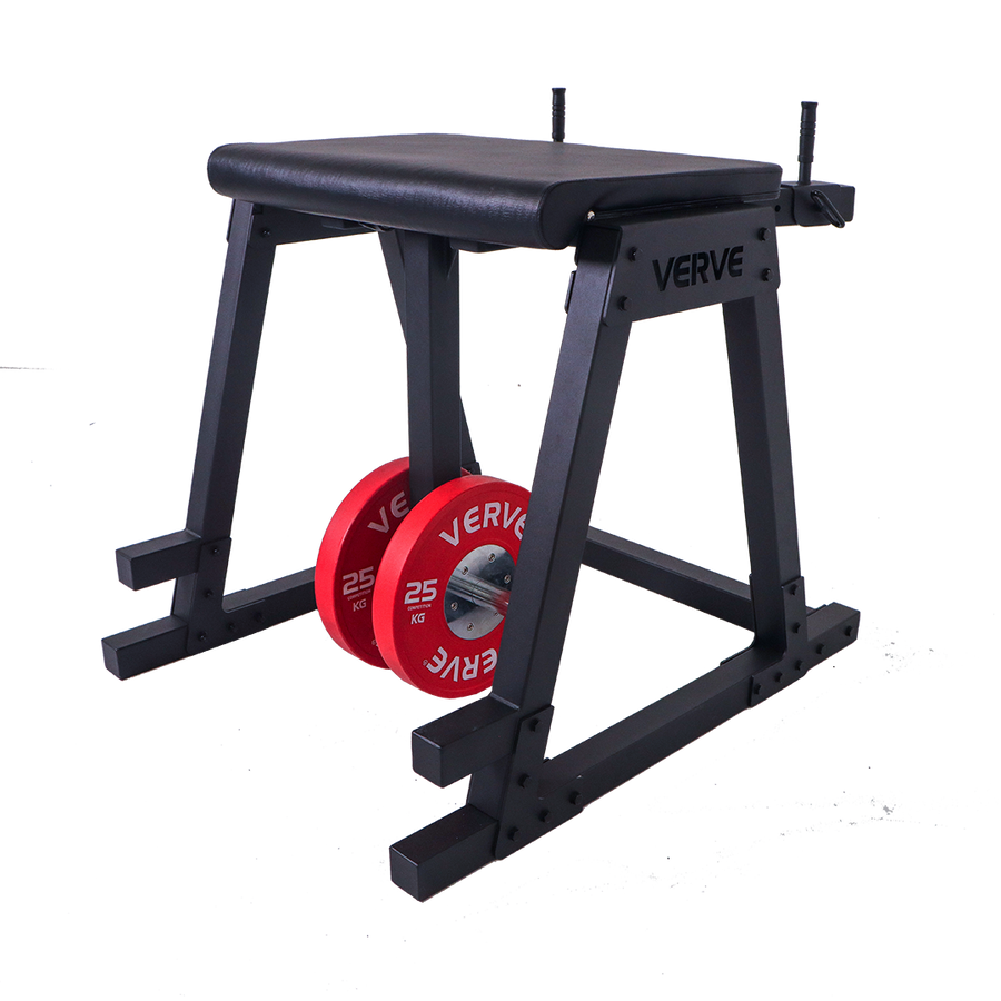 VERVE Reverse Hyperextension